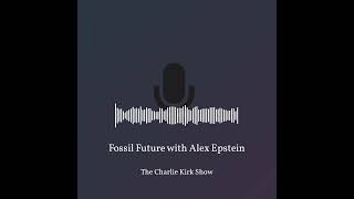 Rapidly eliminating fossil fuels “would literally be the most deadly thing” – Alex Epstein