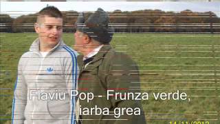 Flaviu Pop - Frunza Verde Iarba Grea Cu Dedicatie Pt. Vasi Micle