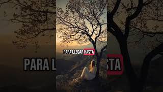 solo vive #reflecciones #consejos #motivacion #motivar