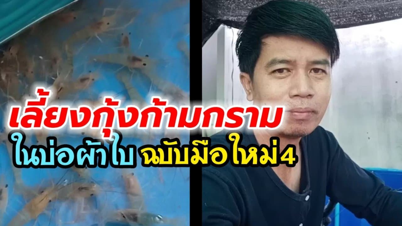 เลี้ยงกุ้งก้ามกรามในบ่อผ้าใบ ฉบับมือใหม่ 4 เปลี่ยนน้ำบ่อกุ้ง..โดยไอ้หนุ่มหล่ายดอย