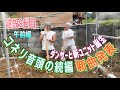 【建設9日目午前編】新曲発表！ダンサーと新ユニット誕生！！