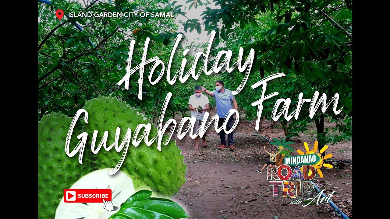 A Week In The Island Garden City Of Samal Mainland Samal Holiday Guyabano Farm Youtube