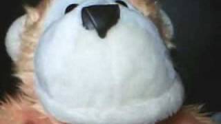 Re:Magix Software Contest,FREE software Giveaway!{closed}