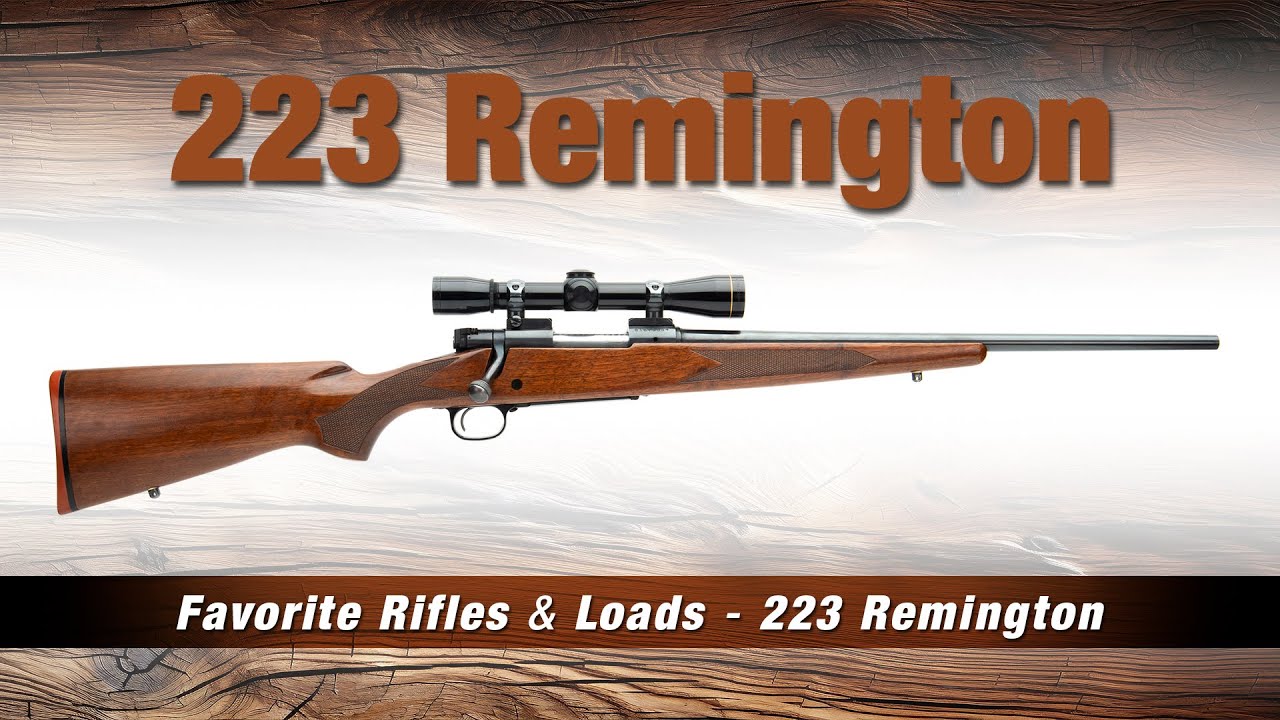 Винтовка и патроны .223 Remington Favorite