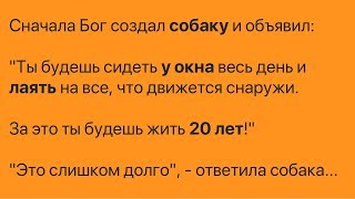 Бог создал человека и разрешил загадать одно желание. И вот что он выбрал... Бог создал человека и разрешил загадать одно желание. И вот что он выбрал...