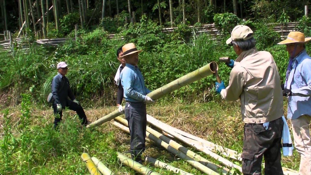 竹切った後水 – 切った竹を長くする方法 – OHIHE