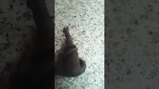 the bloop vs el gran maja