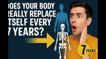 “Does Your Body Really Replace Itself Every 7 Years?”🧬 | FULL VIDEO