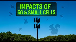 Wildlife and Wireless Radiation: Environmental Impacts of 5G and Small Cells
