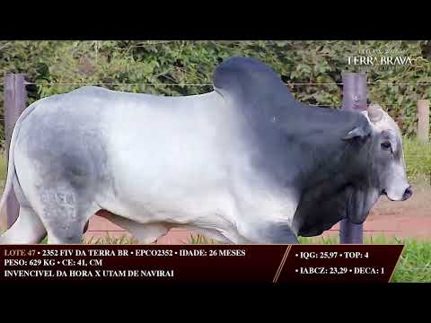 LOTE 47   EPCO 2352