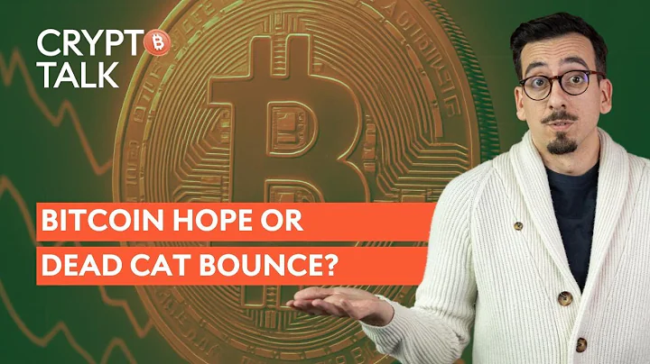 Dead Cat Bounce for Bitcoin? | Crypto Talk