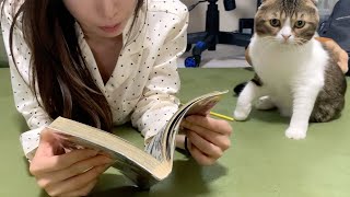 漫画キングダムを絶対に読みたいママVS絶対に遊んで欲しい猫