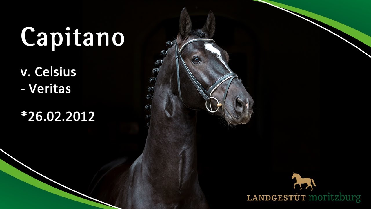 CAPITANO v. Celsius - Veritas