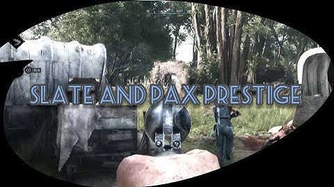 Slate and Pax Prestige 