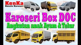 Pembuat Mobil & Truck Box DOC   Angkutan Anak Ayam