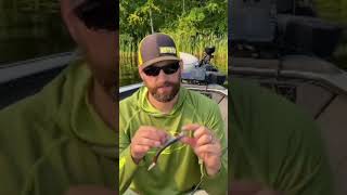 An easy way to save your paddletail swimbaits!