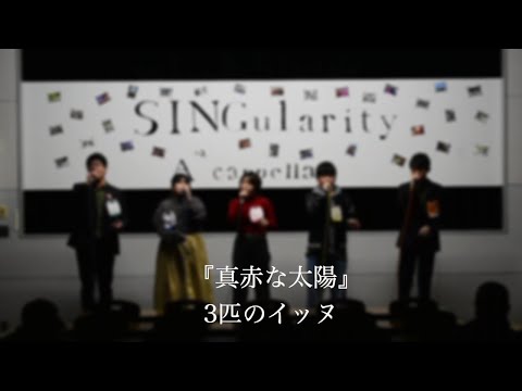 【アカペラ】真赤な太陽　３匹のイッヌ（アカペラサークルSINGularity）- 津田沼祭