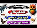 أقوى مراجعة على المفهوم الثاني كيف تعمل الحواس علوم الصف الرابع الابتدائي الفصل الدراسي الاول 2026