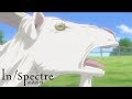 Love at First Sight | In/Spectre