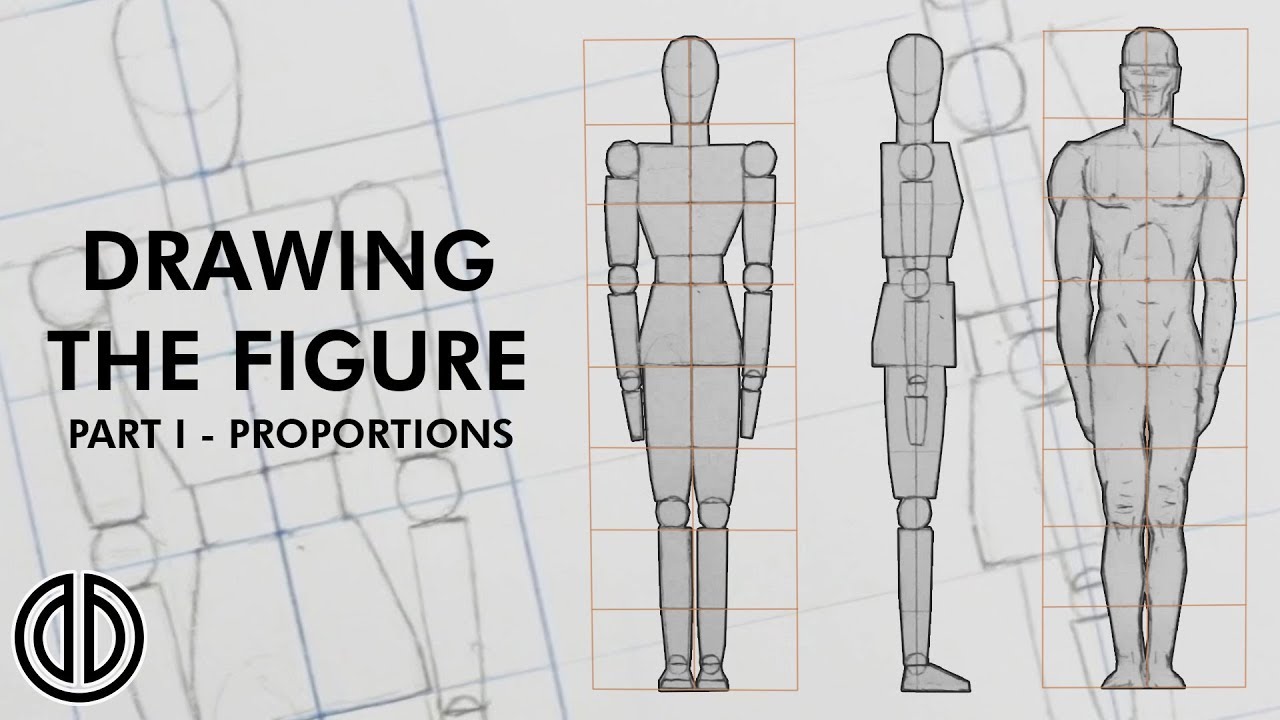 Drawing the Human Figure! - Proportions - Tutorial [PART I] - YouTube