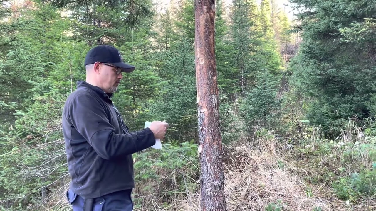 Quelques petits conseils pour comment faire un poteau d’urine à ma façon 🙂