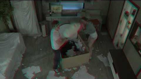 NX10 3D, Stereopsis, As the couple fight!