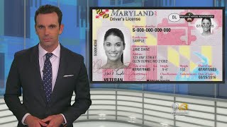 66,300 Marylanders Could Lose Their Driver's Licenses In June As REAL ID Deadline Looms, MVA Says
