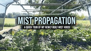 Mist House Introduction - A misting bed built for plant cuttings and propagation