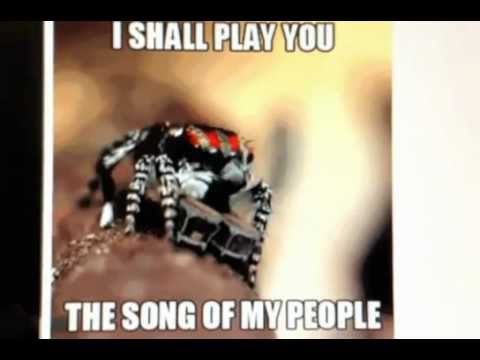 Raindrop - Dance With Me Raindrop - Dance With Me