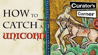 Thumbnail for How to catch a unicorn | Curator's Corner S2 Ep7 #CuratorsCorner