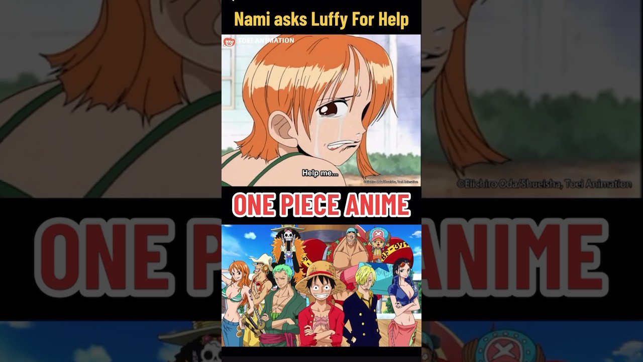 Nami asks Luffy for help Sound Clip - Voicy