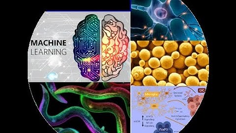 C. elegans, Microfluidics devices, CRISPR, Artificial Intelligence,  Beer volatile fingerprinting