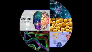 C. elegans, Microfluidics devices, CRISPR, Artificial Intelligence,  Beer volatile fingerprinting