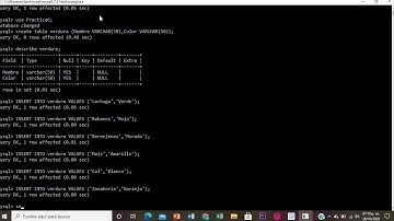 Práctica Wampserver