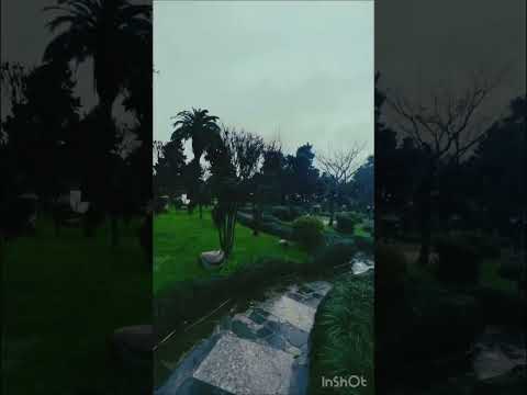 Batum’da yağmurlu bir