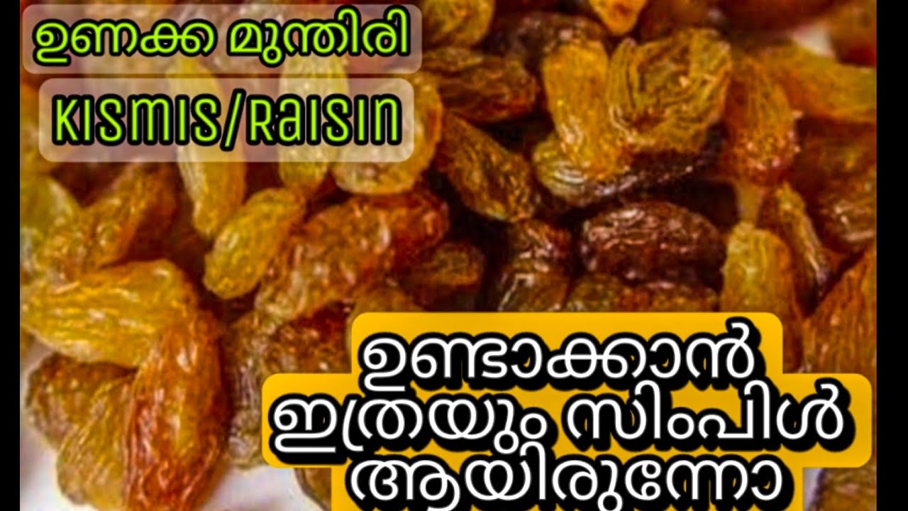 HOW TO MAKE KISMIS RAISIN 🍇 how to make golden raisins homemade raisins YouTube