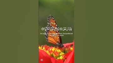 قرآن الكريم سورة النازعات الآية 35The Holy Quran, Surah An-Nazi'at, Verse 35.#قران_كريم #انقذوا_غزة