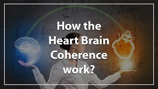 How the Heart Brain Coherence Works