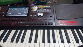 DANGDUT ORGEN TUNGGAL TERBARU,musik penghantar tidur ,cover.