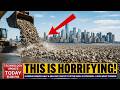 Florida Dumped 500,000 Tons of Oyster Shells Offshore — The Result Is Absolutely Unbelievable!