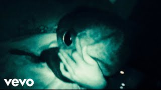 Cabin In The Woods (Official Video) - Weston Estate