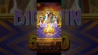 Safari wilds full gameplay (bonus buys) #safariwild #slot #yonogameplay screenshot 2