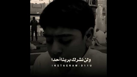 تلاوة تقشعر لها الأبدان 😢 ارح مسمعك 💓حالات واتس دينية