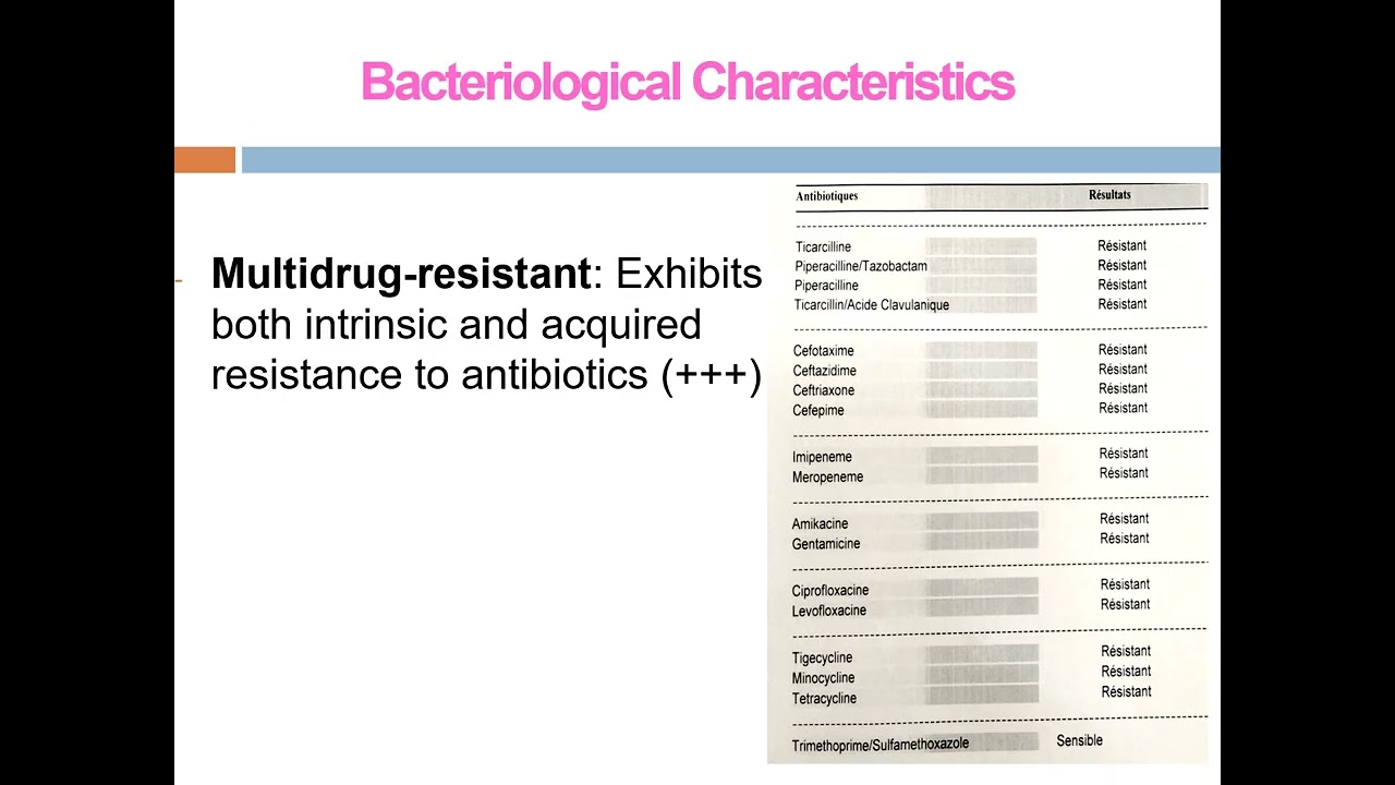 Acinetobacter baumannii (english version)