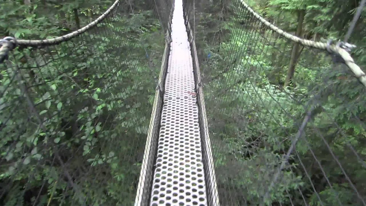 UBC Botanical Garden Canopy Walk - YouTube