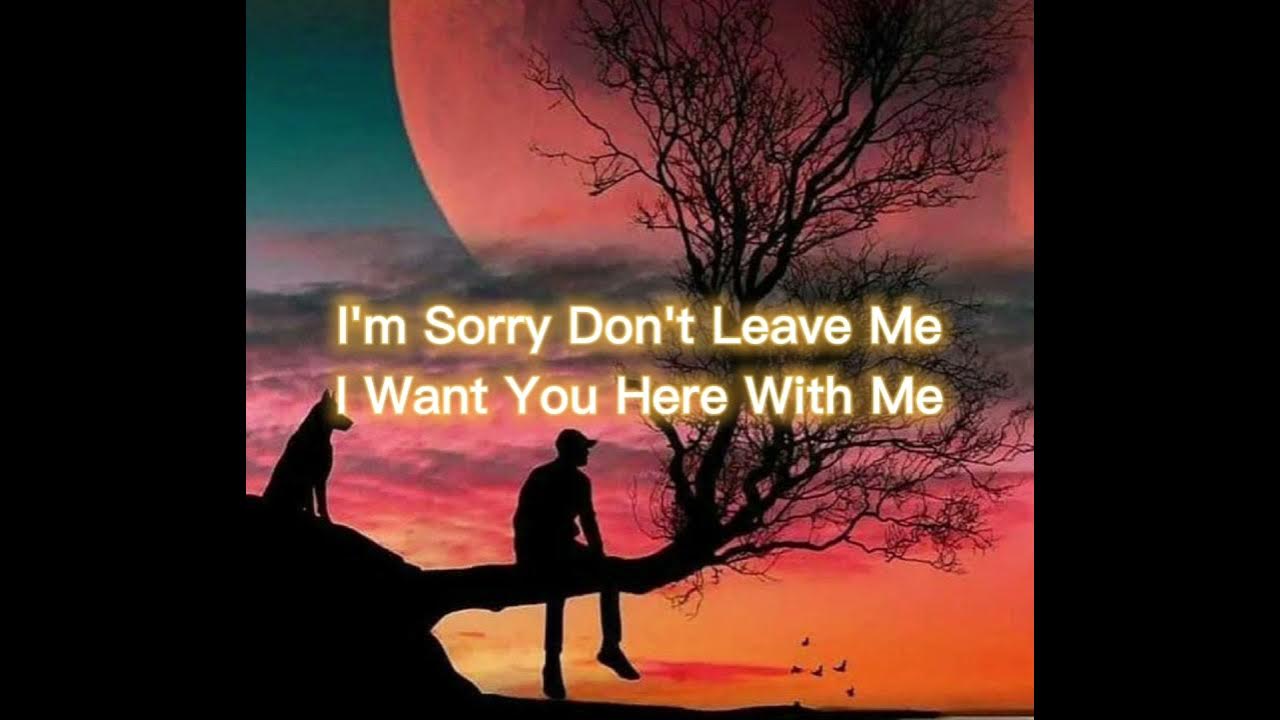 песня i'm sorry don't leave me. Dil laga liya maine обложка песни. Slander- i am sorry don't leave me. I sorry don t leave me. Love is gone (feat.