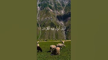 {شَهّرُ رَمَضَانَ اَلَّذي أُنِزلَ فِيهِ اٌلّقُرُٕآن} َ آيات الصيام~{١٨٤}