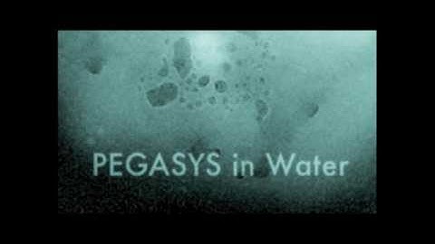 Real-time observation of protein aggregates...