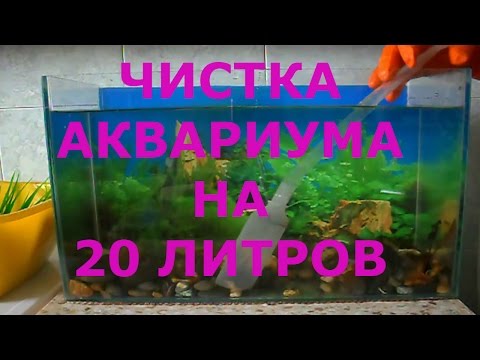 Как Почистить Аквариум / Аква 20 литров