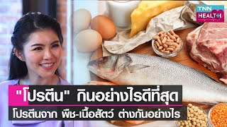 กินโปรตีนอย่างไรดีที่สุด-โปรตีนจากพืช - เนื้อสัตว์ ต่างกันอย่างไร l  TNN HEALTH l 23 07 65